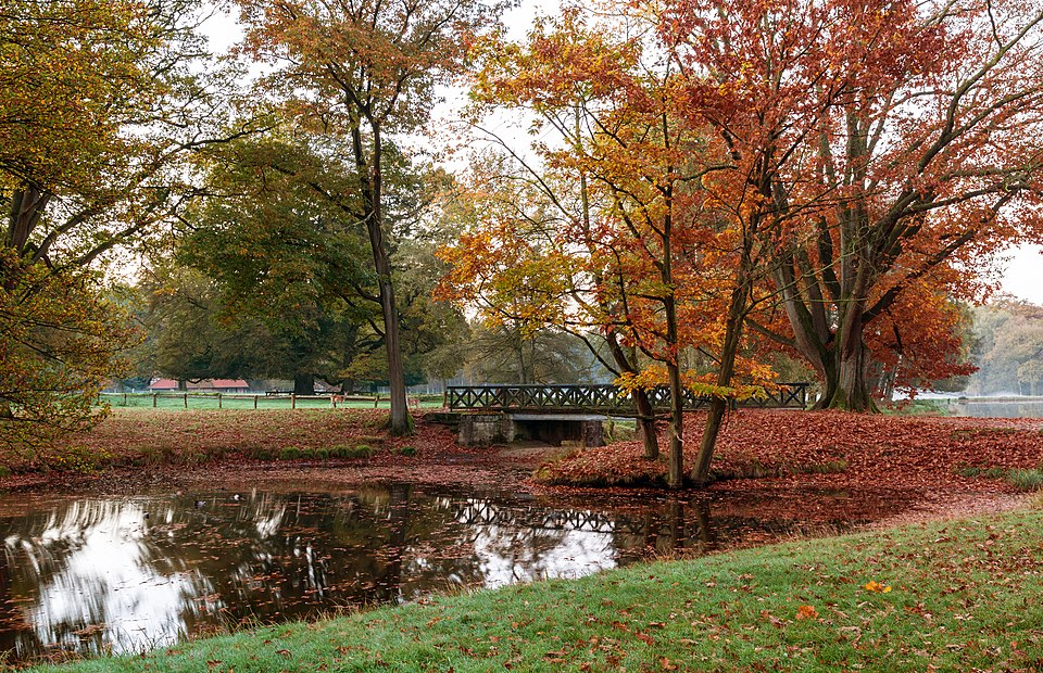 Autumn Various Artists