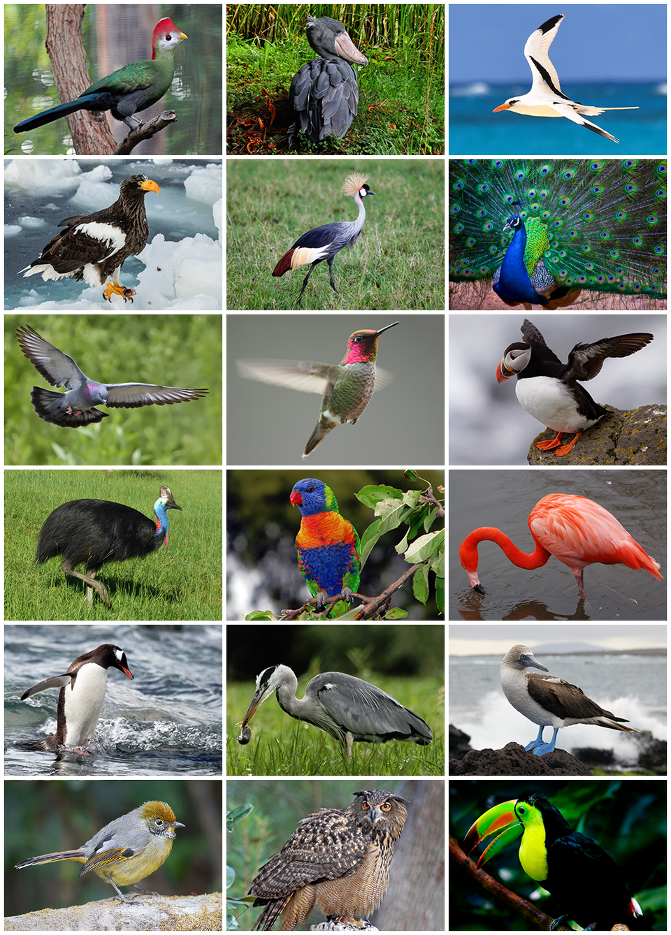 Red Bird Various Artists
