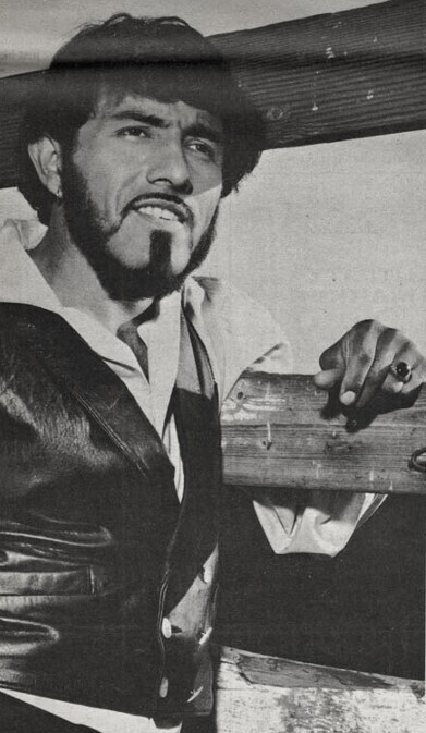 Sam The Sham & The Pharaohs