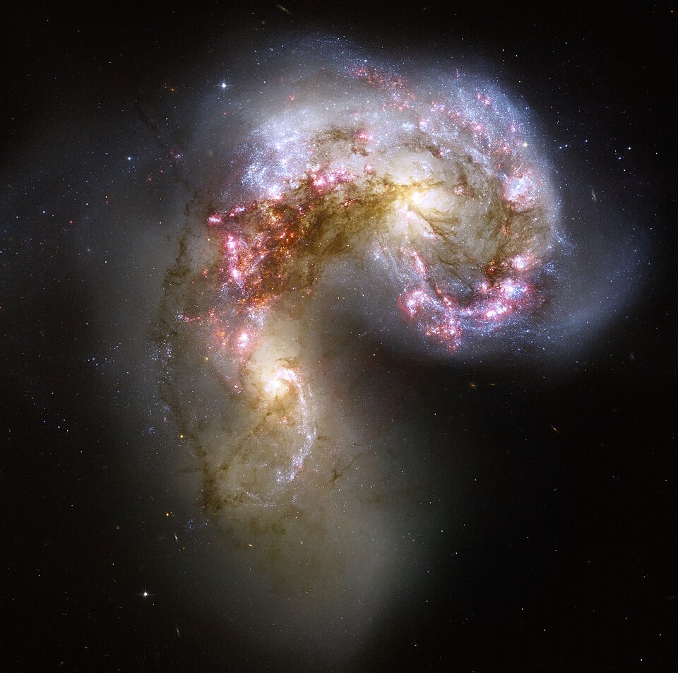 The Galaxies
