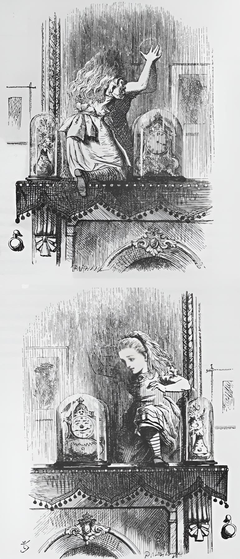 The Looking Glass