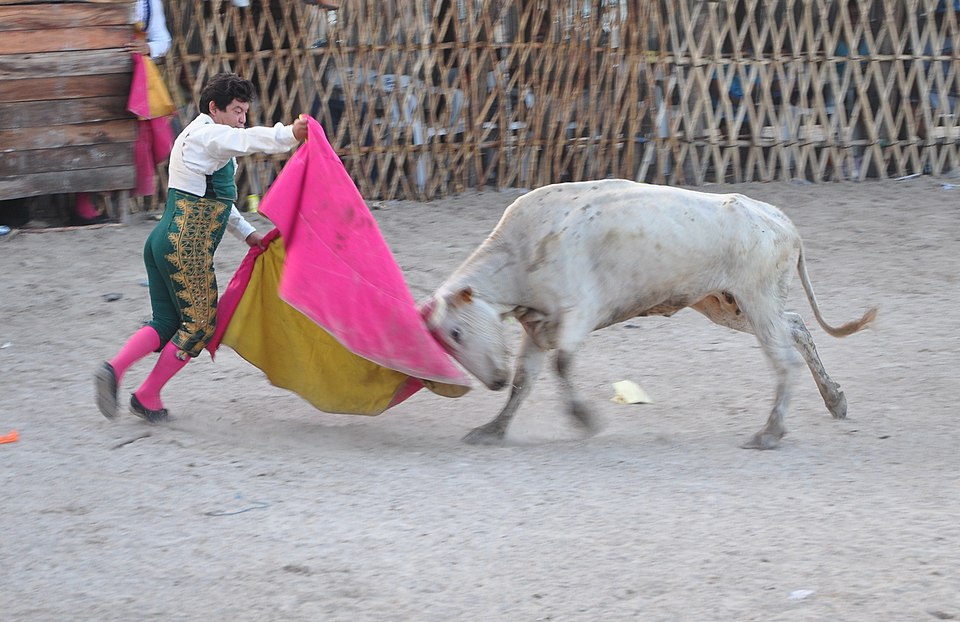 The Matadors