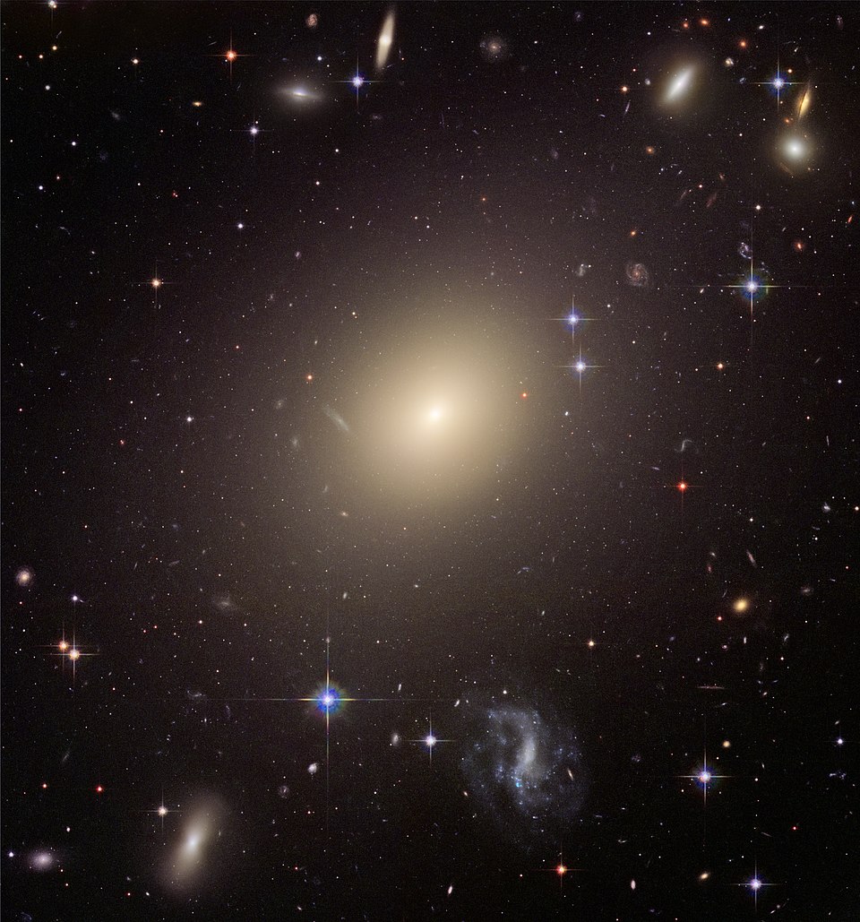 The Royal Galaxies