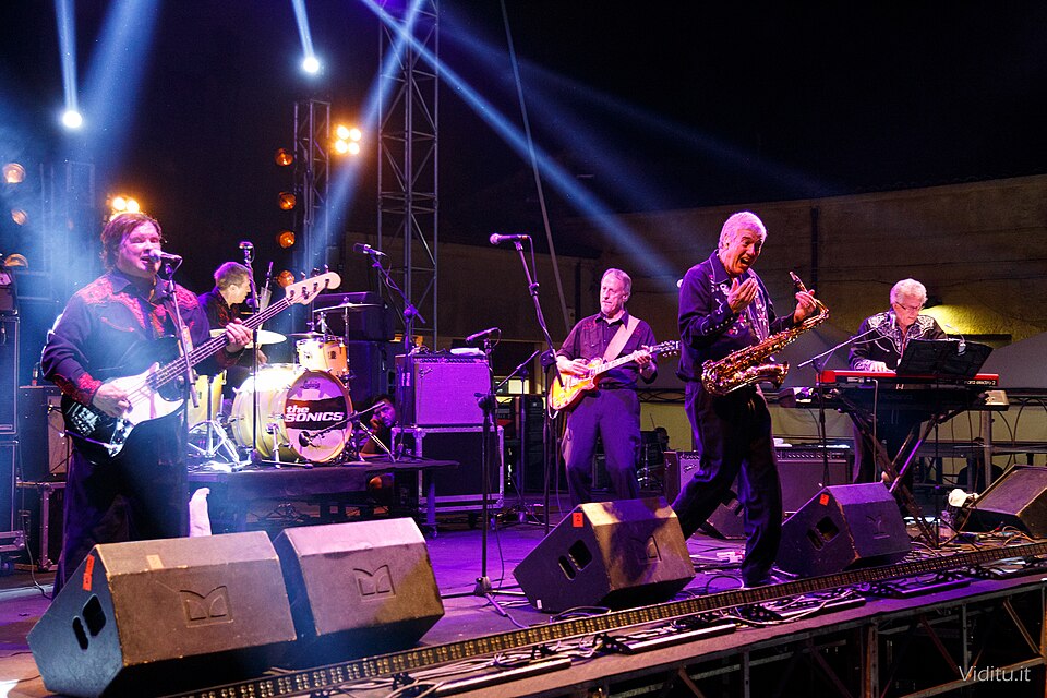 The Sonics