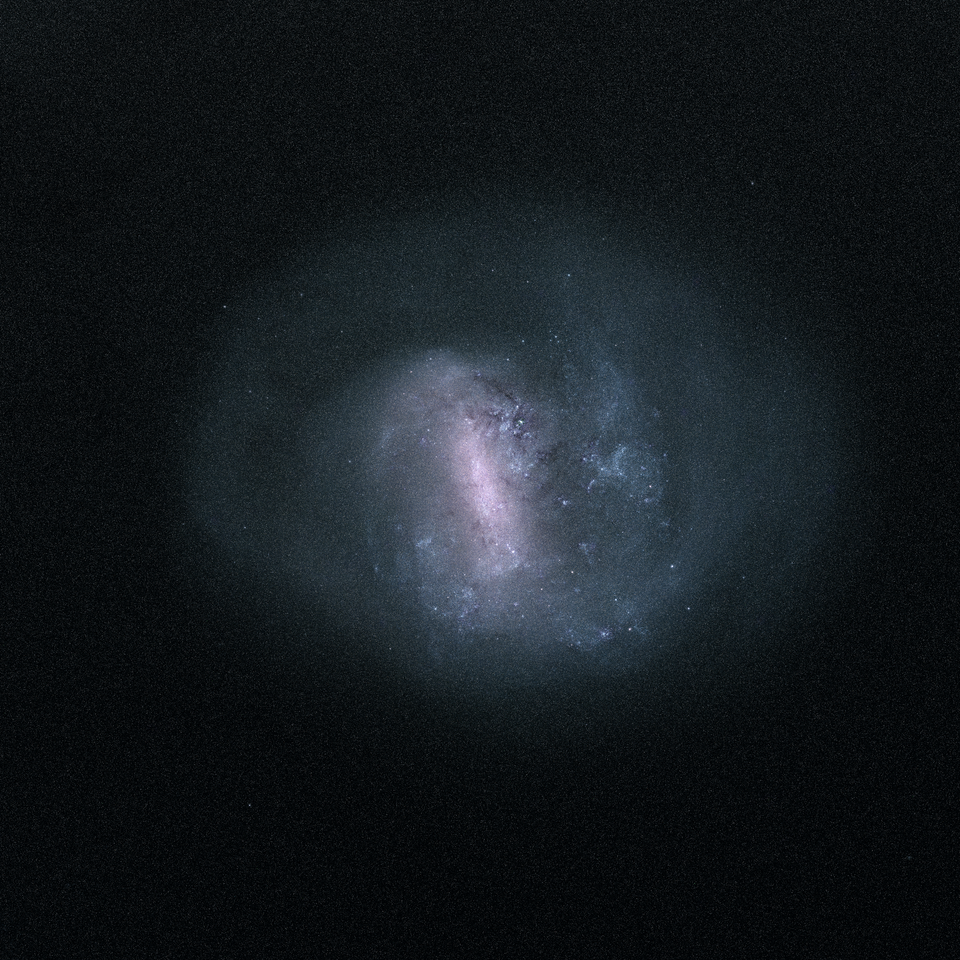The Spirals