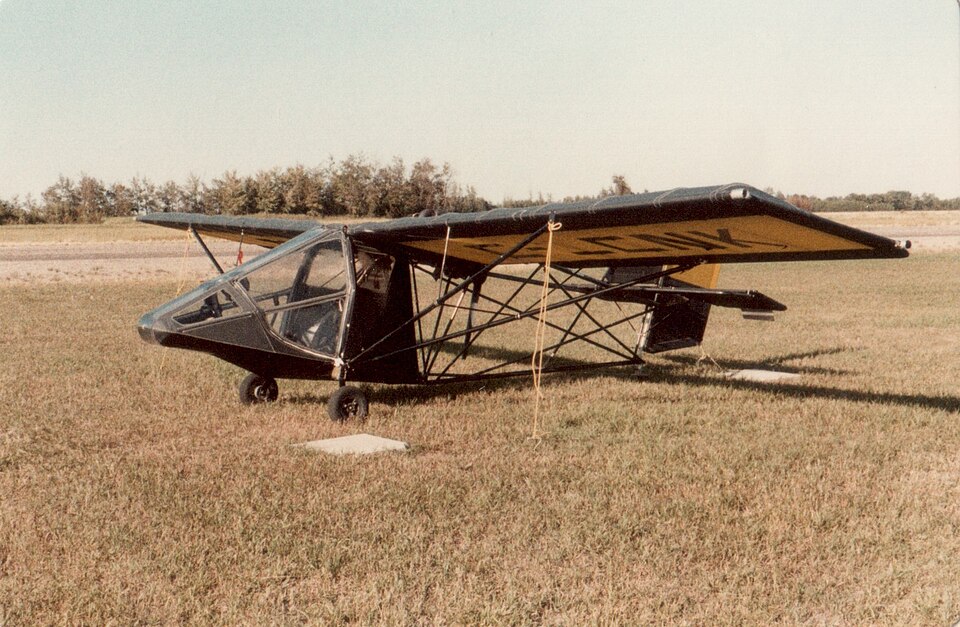 The T-Birds