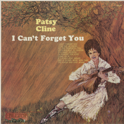 I Can't Forget You