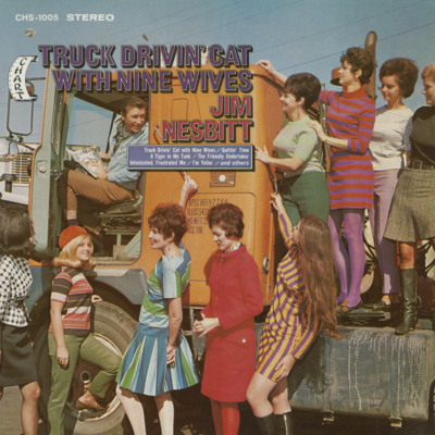 Truck Drivin Cat With Nine Wives