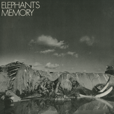 Elephant's Memory