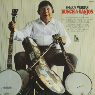 Bunch-A-Banjos