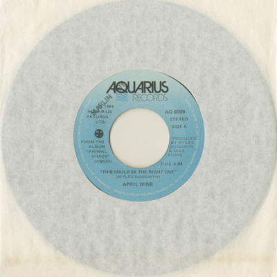 This Could Be The Right One / I Really Don't Want Your Love (1984)