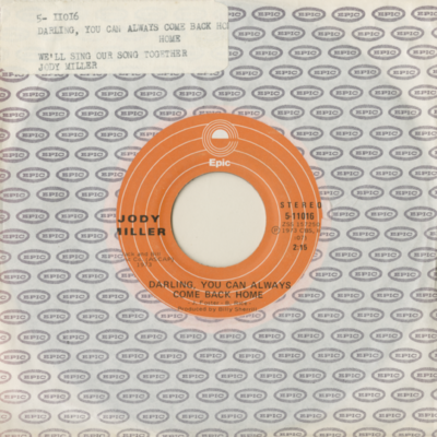 Darling You Can Always Come Back Home / We'll Sing Our Song Together (1973)