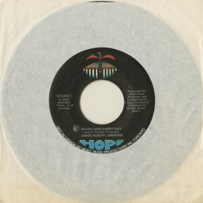 Brand New Sunny Day / Mono