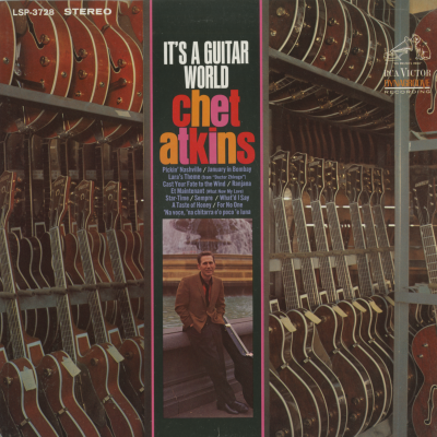 It's A Guitar World