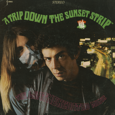 A Trip Down The Sunset Strip (1967)