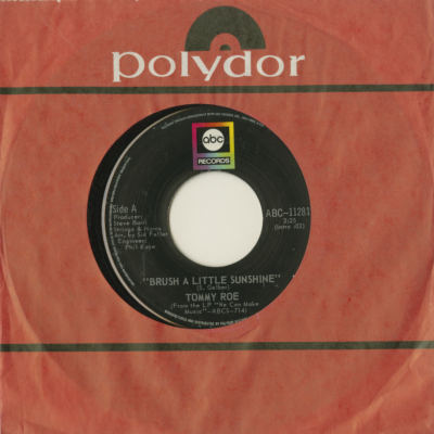 Brush A Little Sunshine / King Of Fools