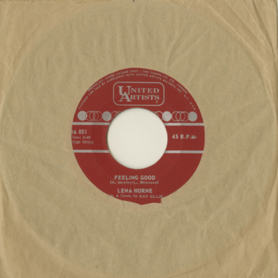 Feeling Good / Pleasures And Palaces (1965)