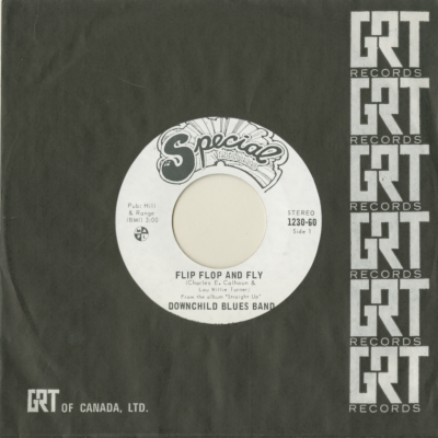 Flip Flop And Fly / Shot Gun Blues (1973)