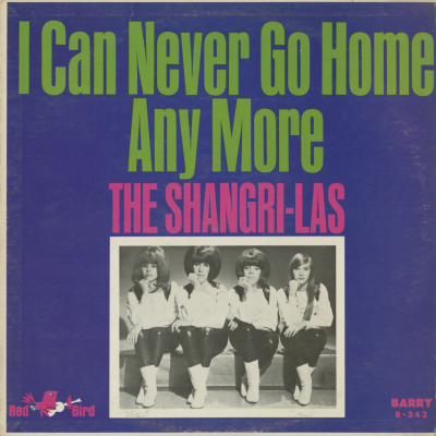 I Can Never Go Home Anymore (1965)
