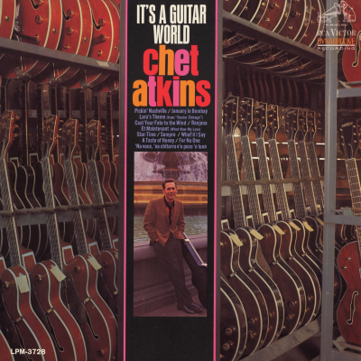 It's A Guitar World