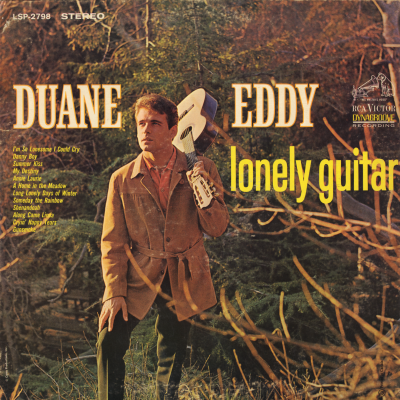 Lonely Guitar