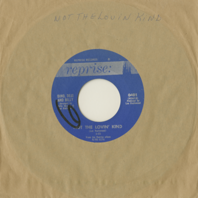 Not The Lovin' Kind / Chimes Of Freedom (1965)