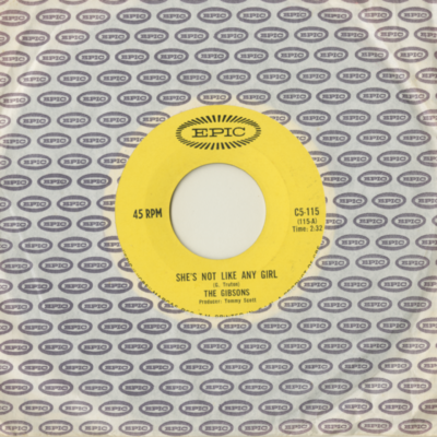 She's Not Like Any Girl / Lazy Summer Day (1967)