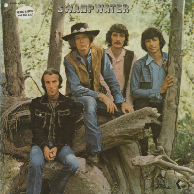 Swampwater (1970)