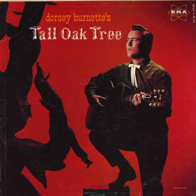 Tall Oak Tree