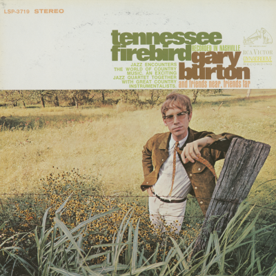 Tennessee Firebird