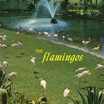 The Flamingos