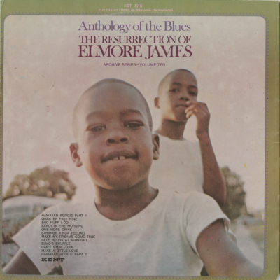 The Resurrection Of Elmore James